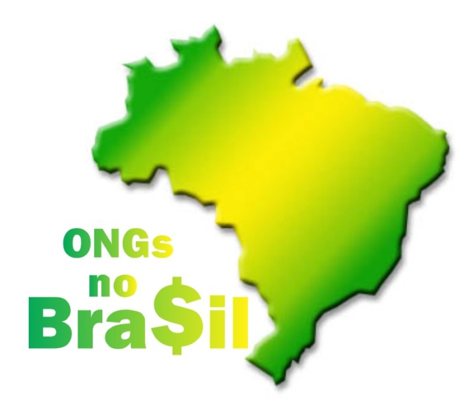 Ongs-no-Brasil